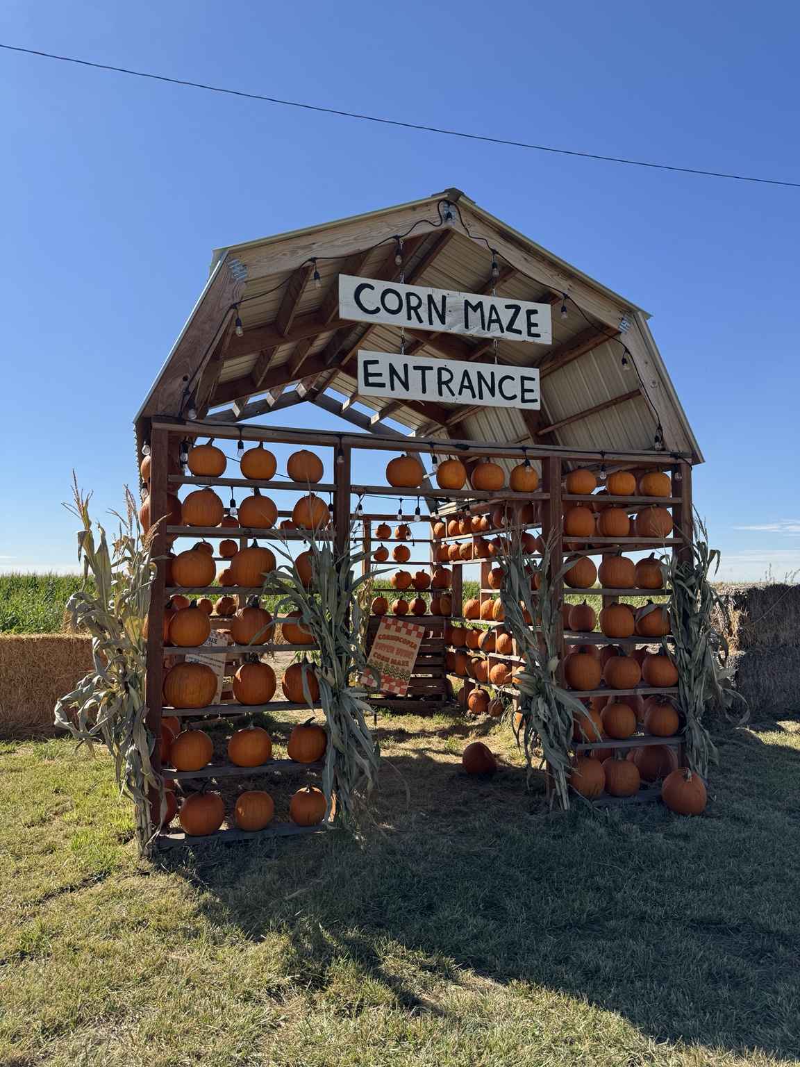 Pumpkin-lined corn maze entrance at Hunt Family Farm