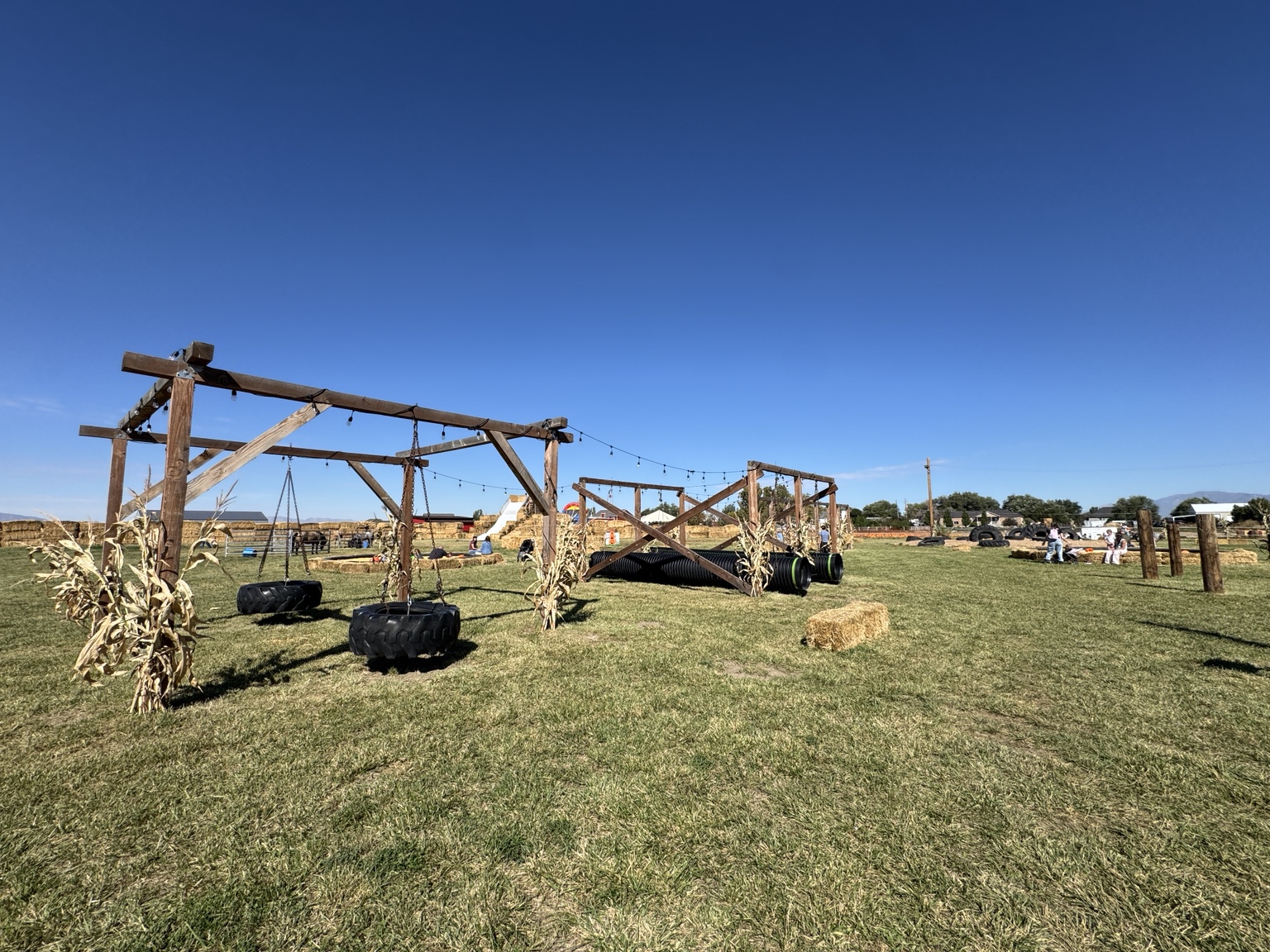 Tire swings and open grassy play area at Hunt Family Farm