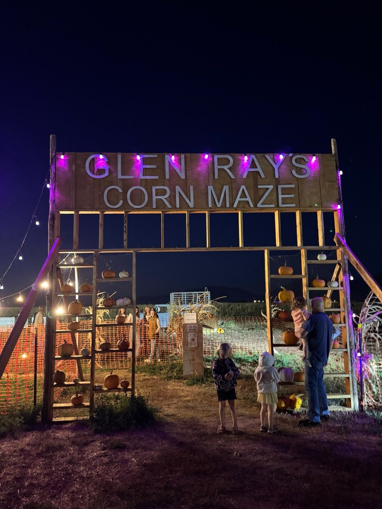 Pumpkin-lined entrance to Glen Ray’s Corn Maze illuminated at night