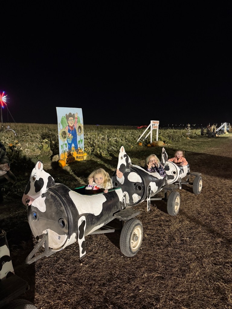 Children riding the cow barrel train at Glen Ray’s Corn Maze