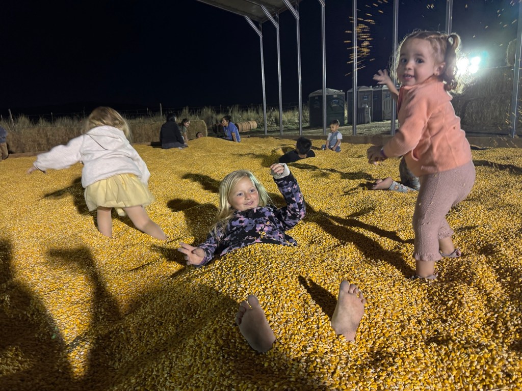 Children playing in the corn pit at Glen Ray’s Corn Maze