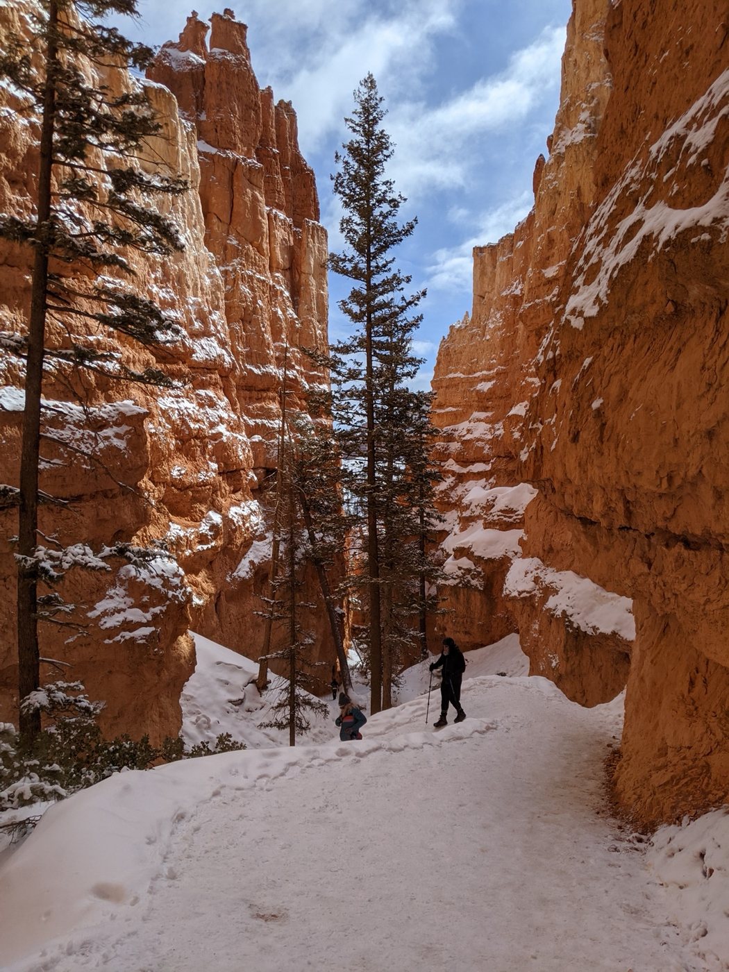 Snowy hiking trail winding between tall hoodoos in Bryce Canyon