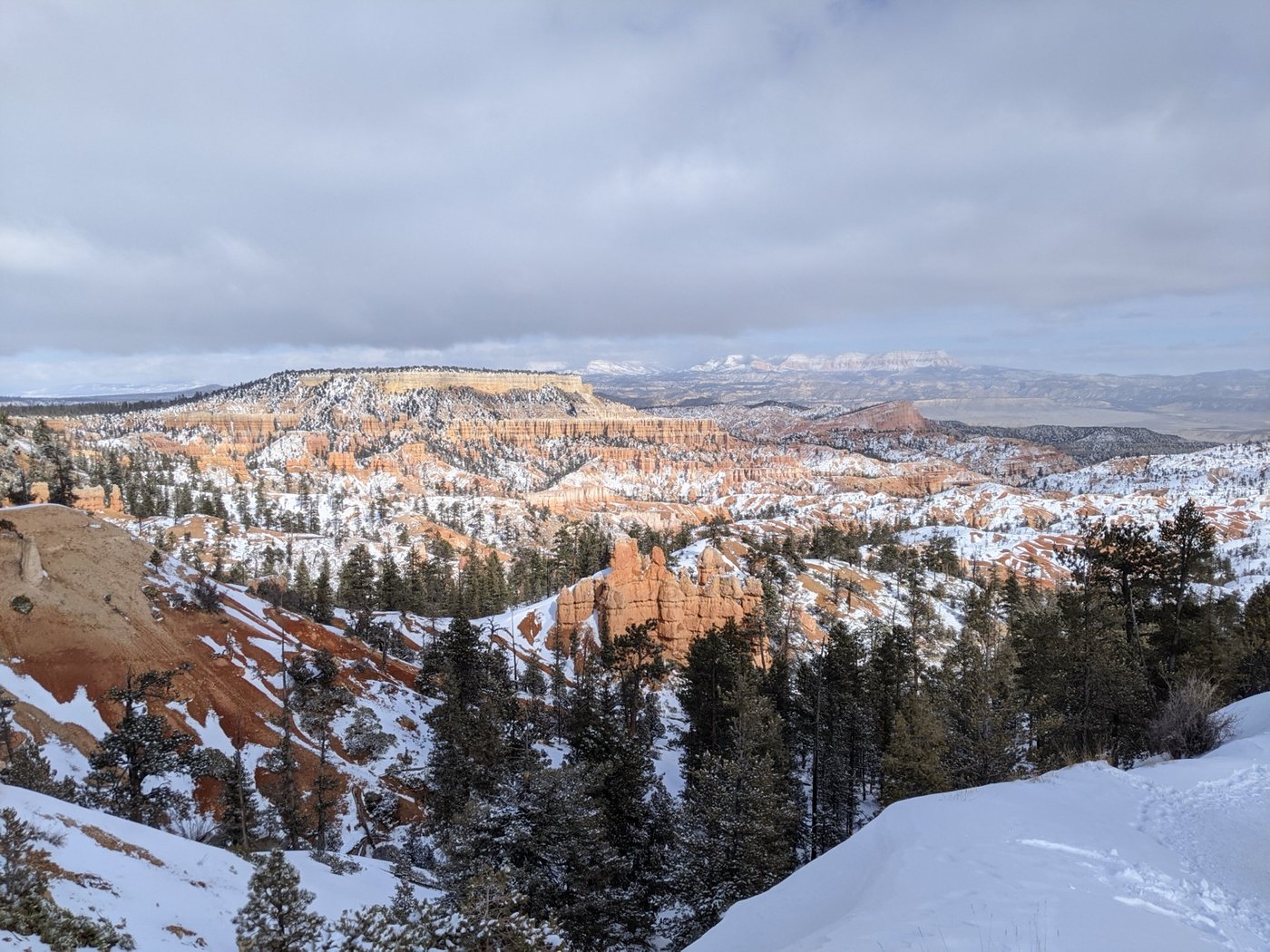Wide winter view over the hoodoos and distant cliffs of Bryce Canyon