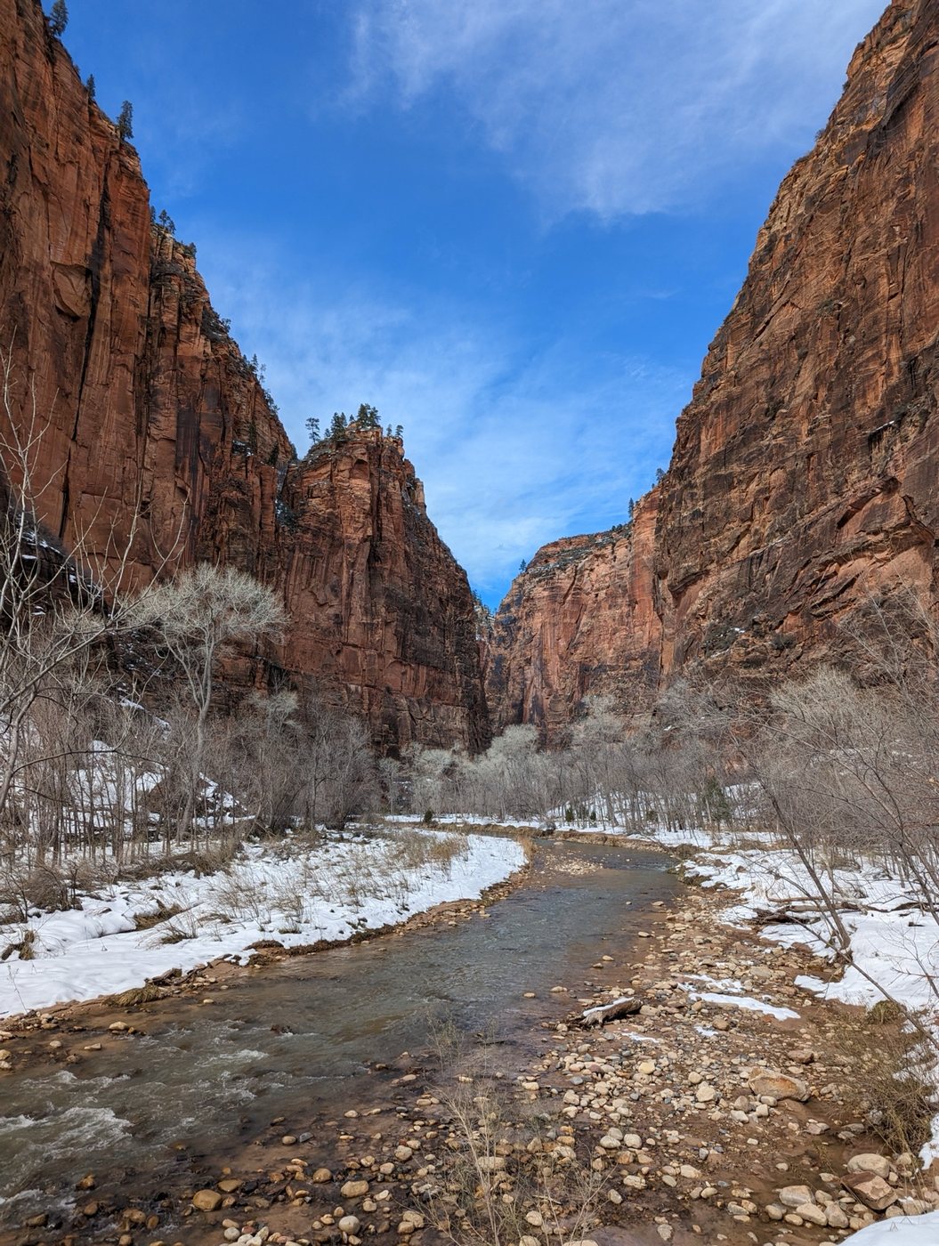 Virgin River and towering red cliffs in Zion Canyon