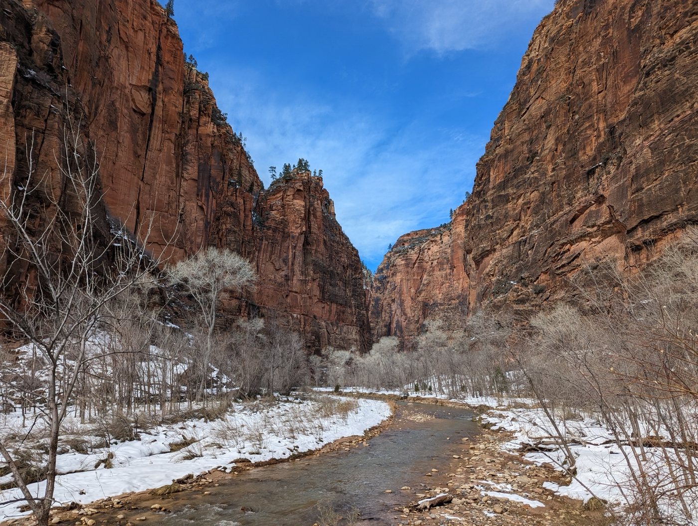 Winter view along the Virgin River beneath Zion Canyon cliffs
